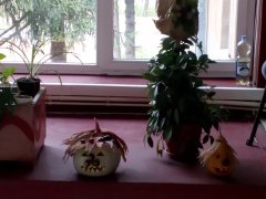 IMG_20191010_140356.jpg